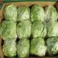 Fresh Iceberg